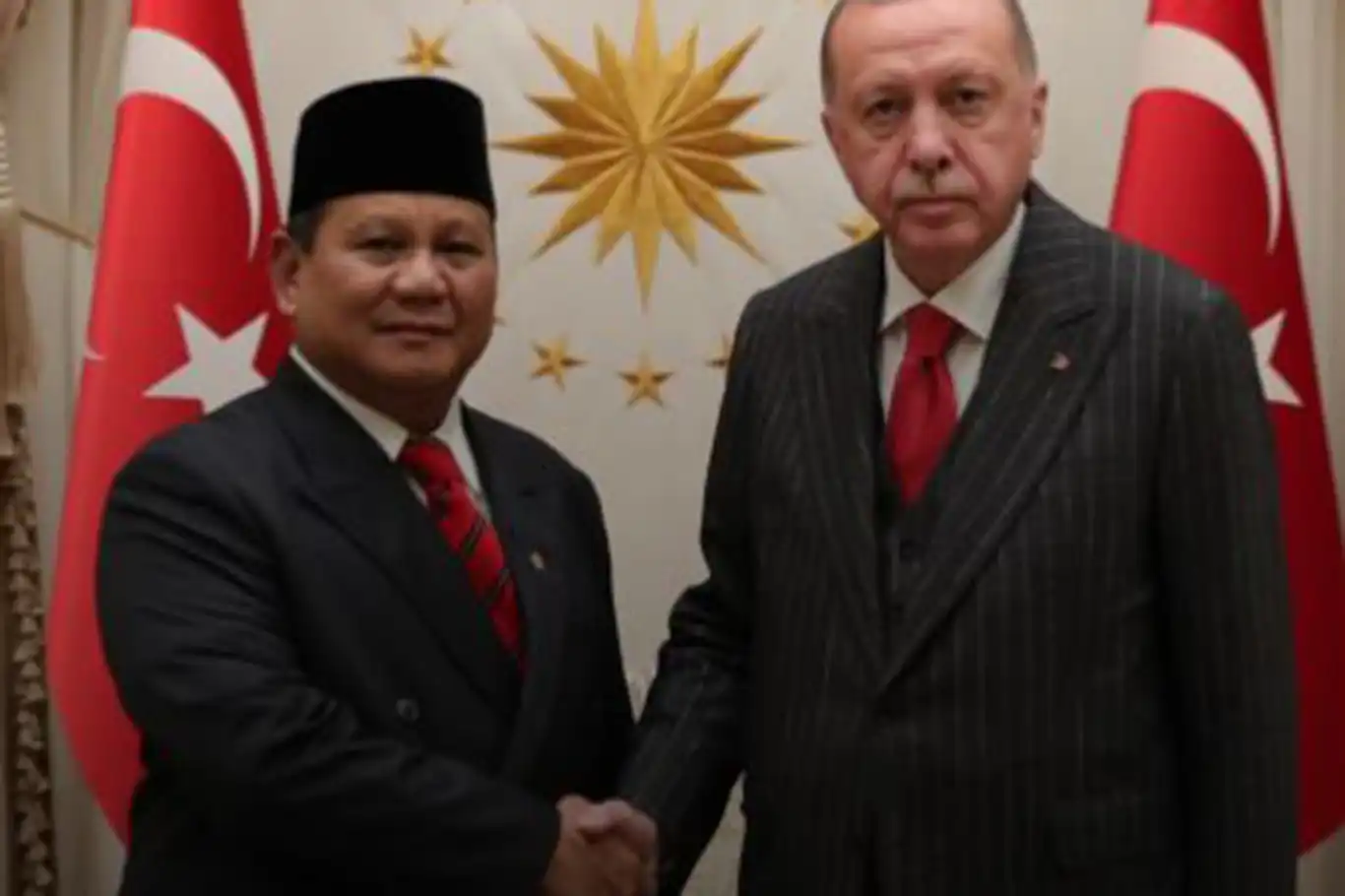 Erdoğan discusses bilateral ties with Indonesian President-elect Subianto