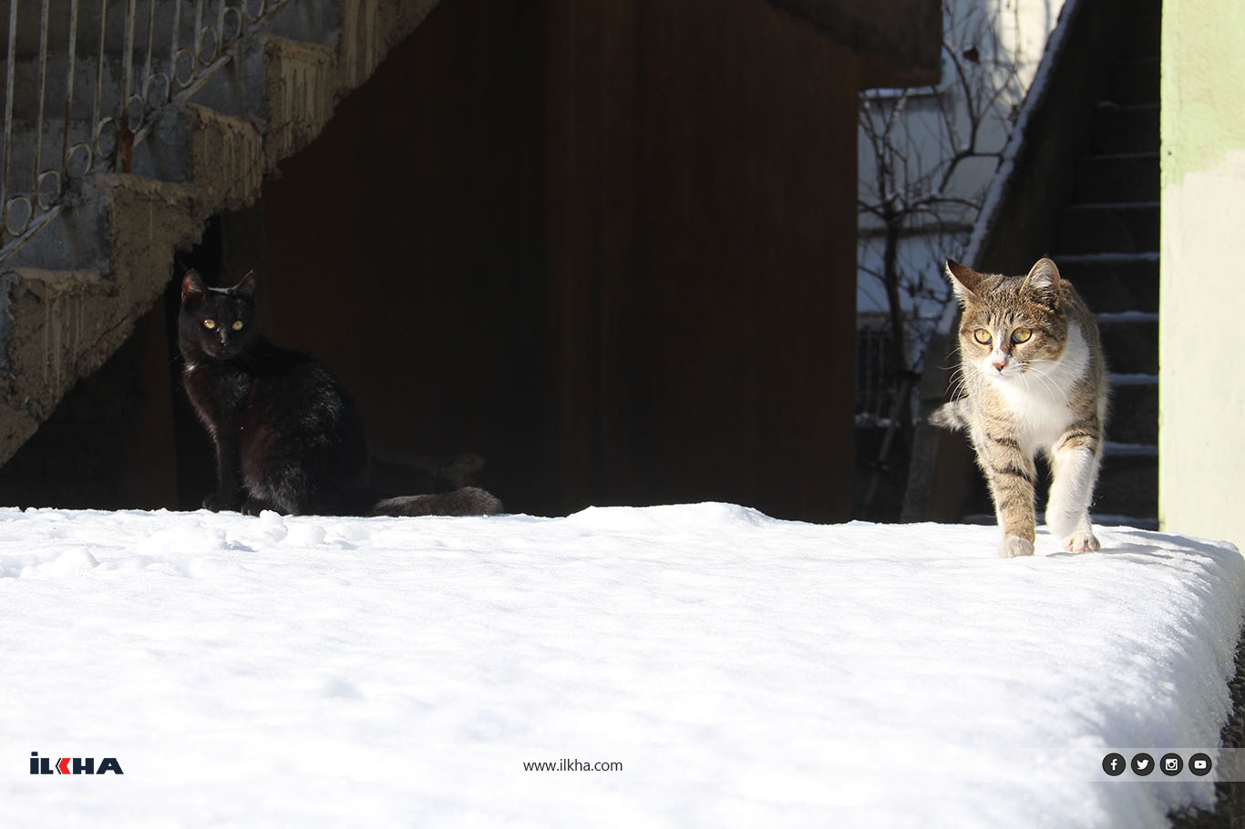 Batman'da kar sonrası cadde ve sokaklar buz pistine döndü