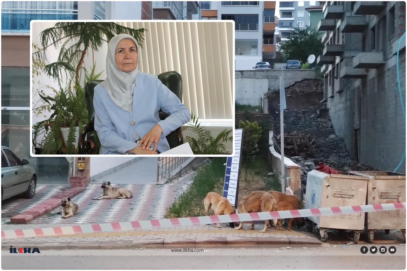 Av. Sayımlar: Başıboş köpek sorununun çözümü 5199 Sayılı Kanun'un değişmesine bağlı Av. Sayımlar: Başıboş köpek sorununun çözümü 5199 Sayılı Kanun'un değişmesine bağlı