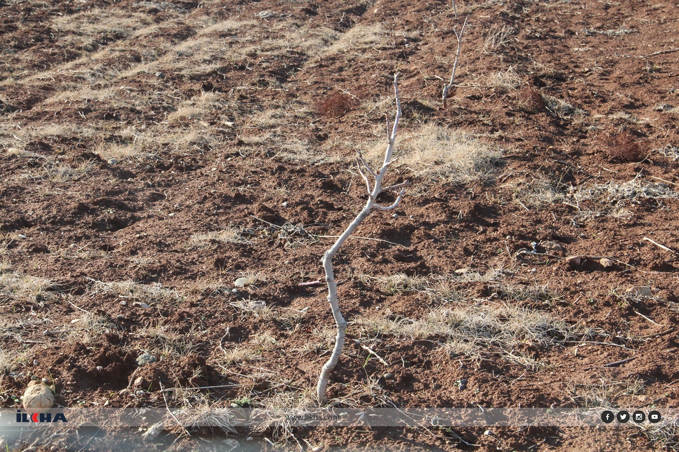 Köylülerden usulsüz arazi satışı iddiası: 70 yıllık tarlalarımız başkalarına verildi