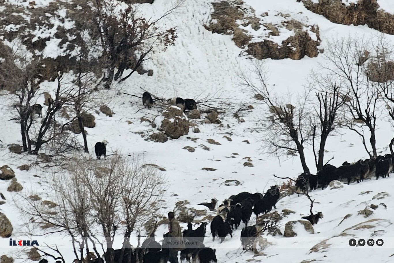 Mardin'de karda mahsur kalan çoban kurtarıldı