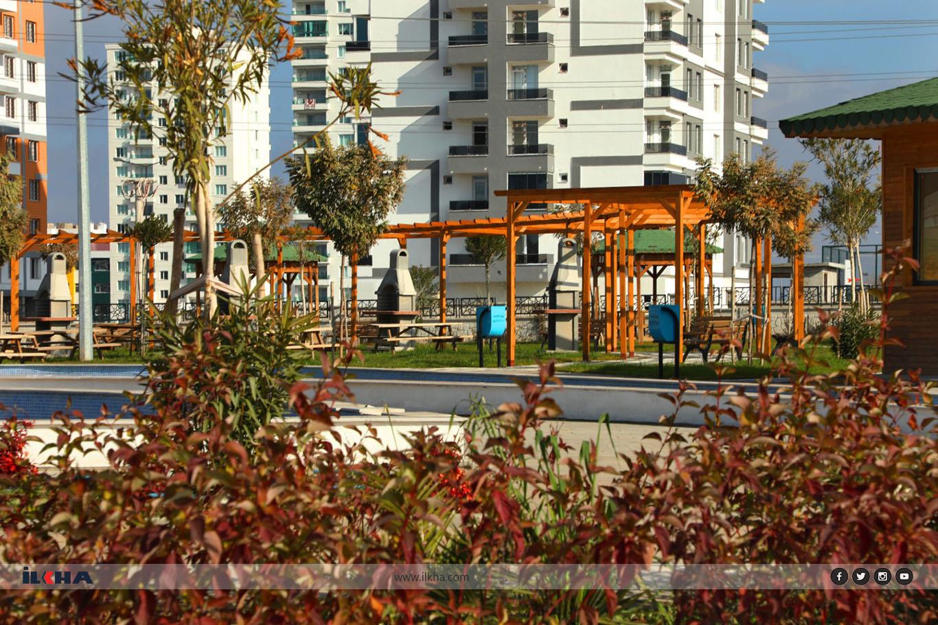 Diyarbakır Yenişehir Belediyesi, Nev Bahçe Parkı'nında organik ürün üretimine başladı