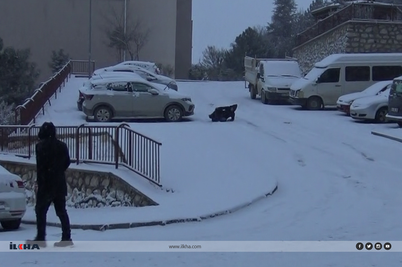 Prof. Dr. Sevimli'den kış aylarında düşme ve kırıklara karşı hayati uyarılar