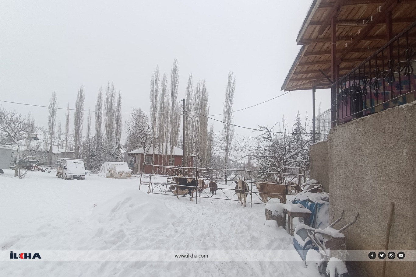 Tufanbeyli’de kar yağışı hayvancılığı etkiledi