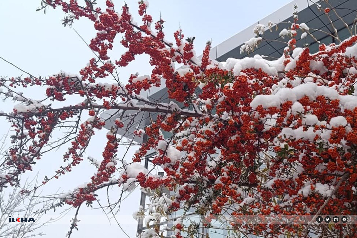 Van’da kar yağışı kenti beyaz örtüyle kapladı