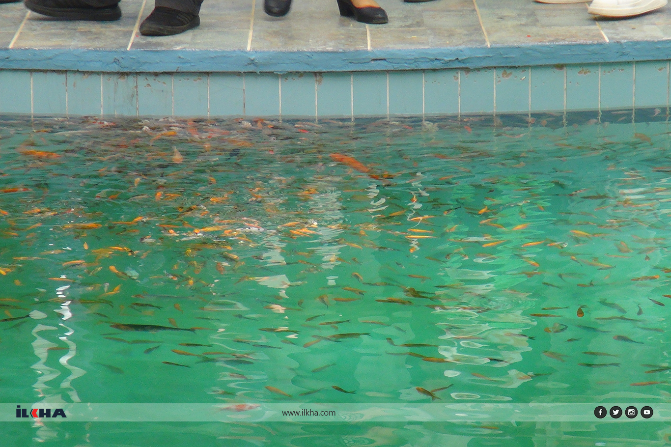 Gaziantep Hayvanat Bahçesi&#x27;ne biberonla beslenen balık türü getirildi