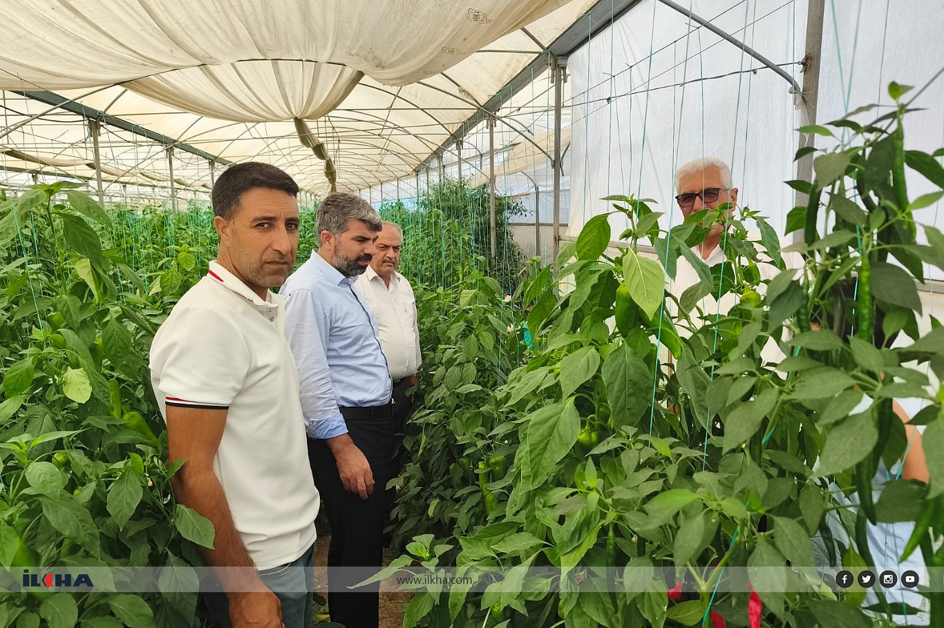 HÜDA PAR Milletvekili Dinç, çiftçilerin sorunlarını dinledi HÜDA PAR Milletvekili Dinç, çiftçilerin sorunlarını dinledi