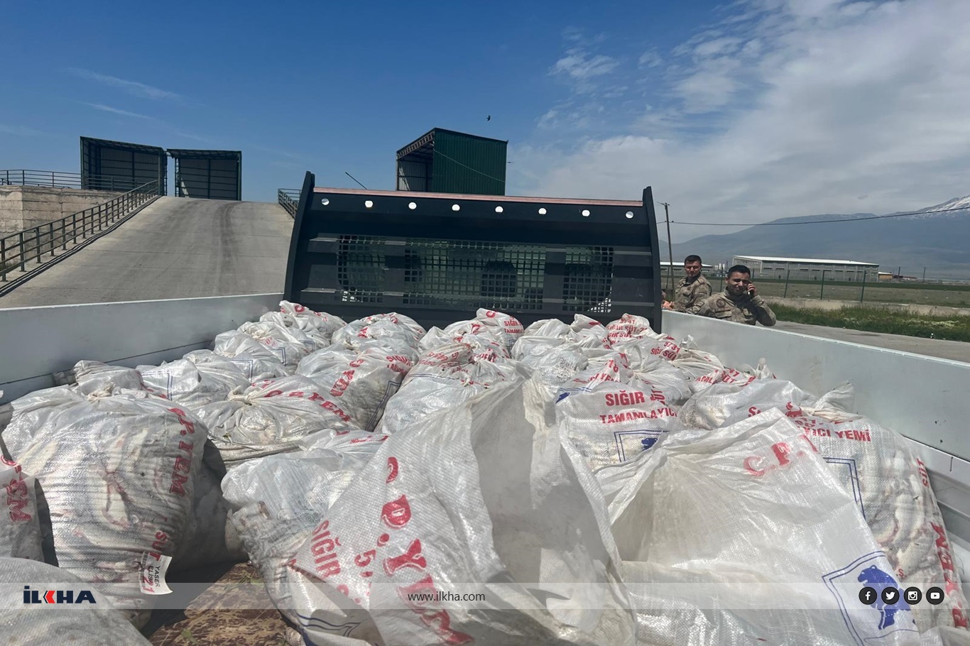 Kaçak yollar ile taşınan 2 ton inci kefali Ağrı'da ele geçirildi Kaçak yollar ile taşınan 2 ton inci kefali Ağrı'da ele geçirildi
