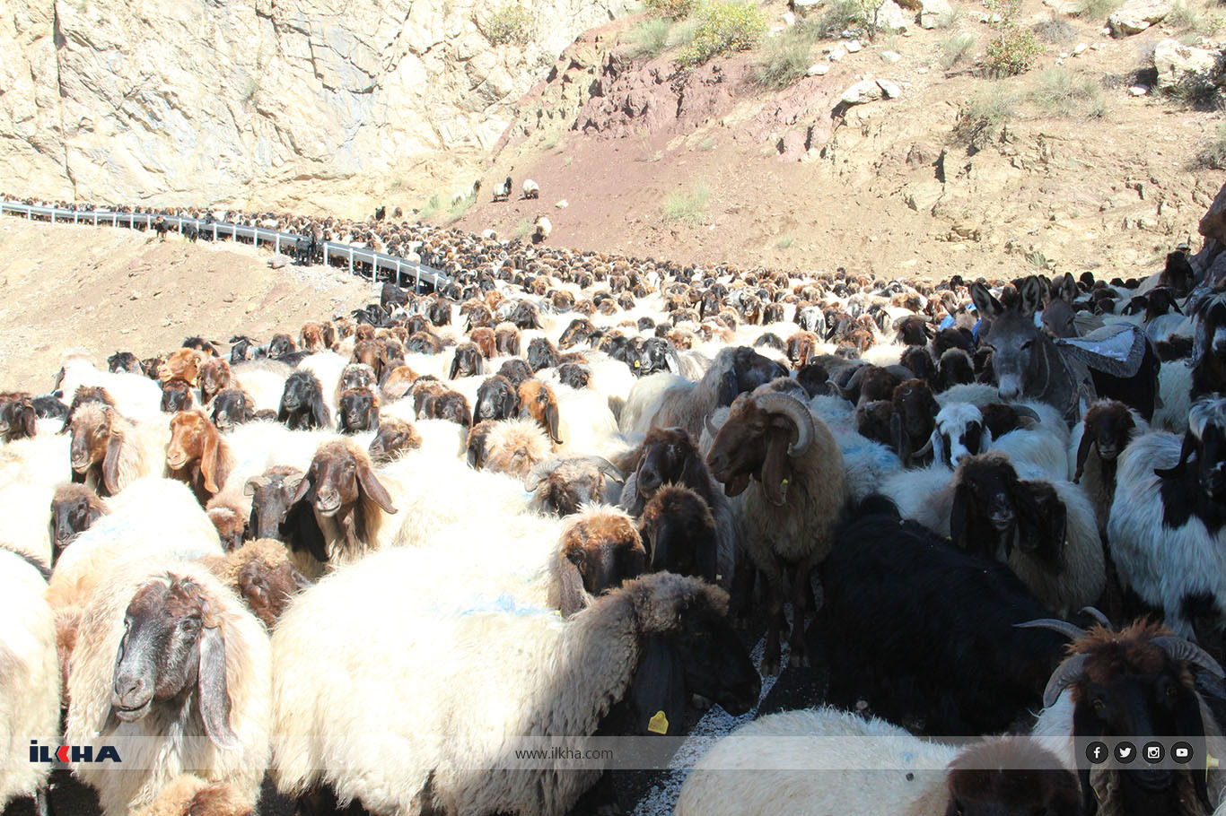 Göçerlerin aylarca süren zorlu göç yolculuğu başladı Göçerlerin aylarca süren zorlu göç yolculuğu başladı
