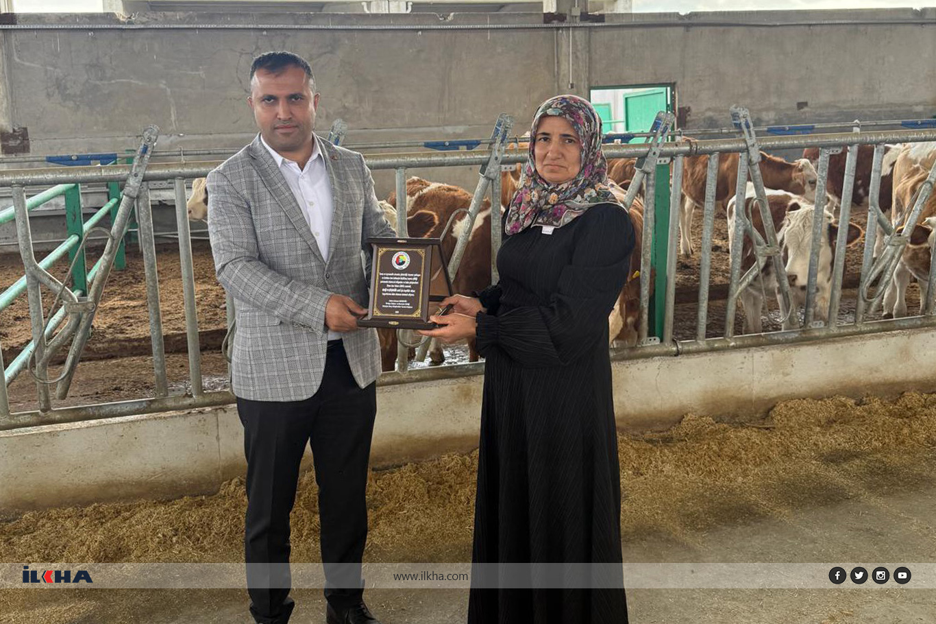 Malatyalı girişimci 48 büyükbaş hayvanla başladığı üretime kısa sürede 120'ye ulaştı  Malatyalı girişimci 48 büyükbaş hayvanla başladığı üretime kısa sürede 120'ye ulaştı