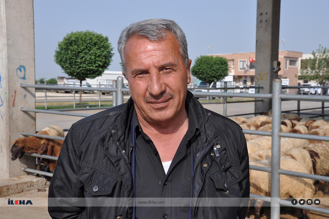 Kurban Bayramı için yeterli hayvan var mı? Kurban Bayramı için yeterli hayvan var mı?