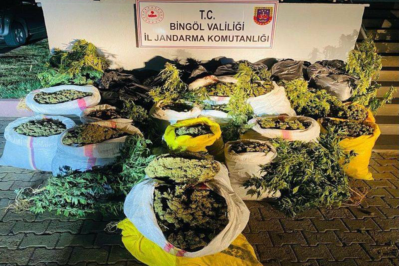 Bingöl'de 6 milyon 391 bin 436 kök Hint keneviri ele geçirildi Bingöl'de 6 milyon 391 bin 436 kök Hint keneviri ele geçirildi