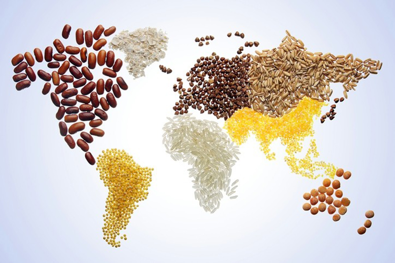 food import costs across the world set to rise to nearly us$2 trillion—fao - [i̇lkha] principle news agency [i̇lkha]