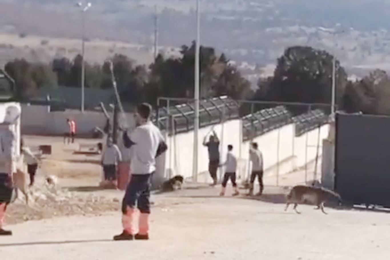 Konya hayvan bakımevindeki köpekler muayene edilecek Konya hayvan bakımevindeki köpekler muayene edilecek