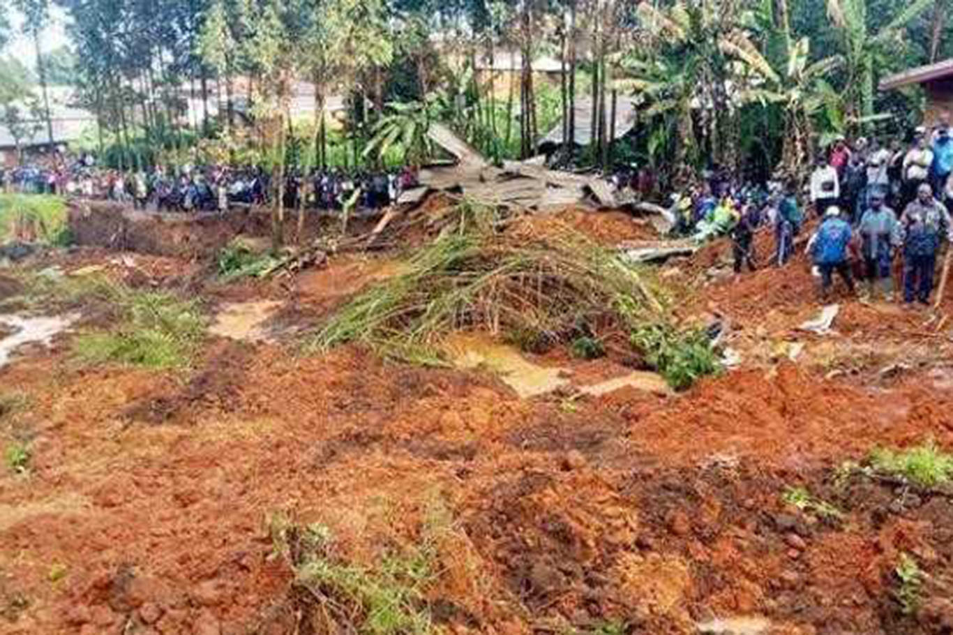 At least 14 killed in Cameroon's landslide