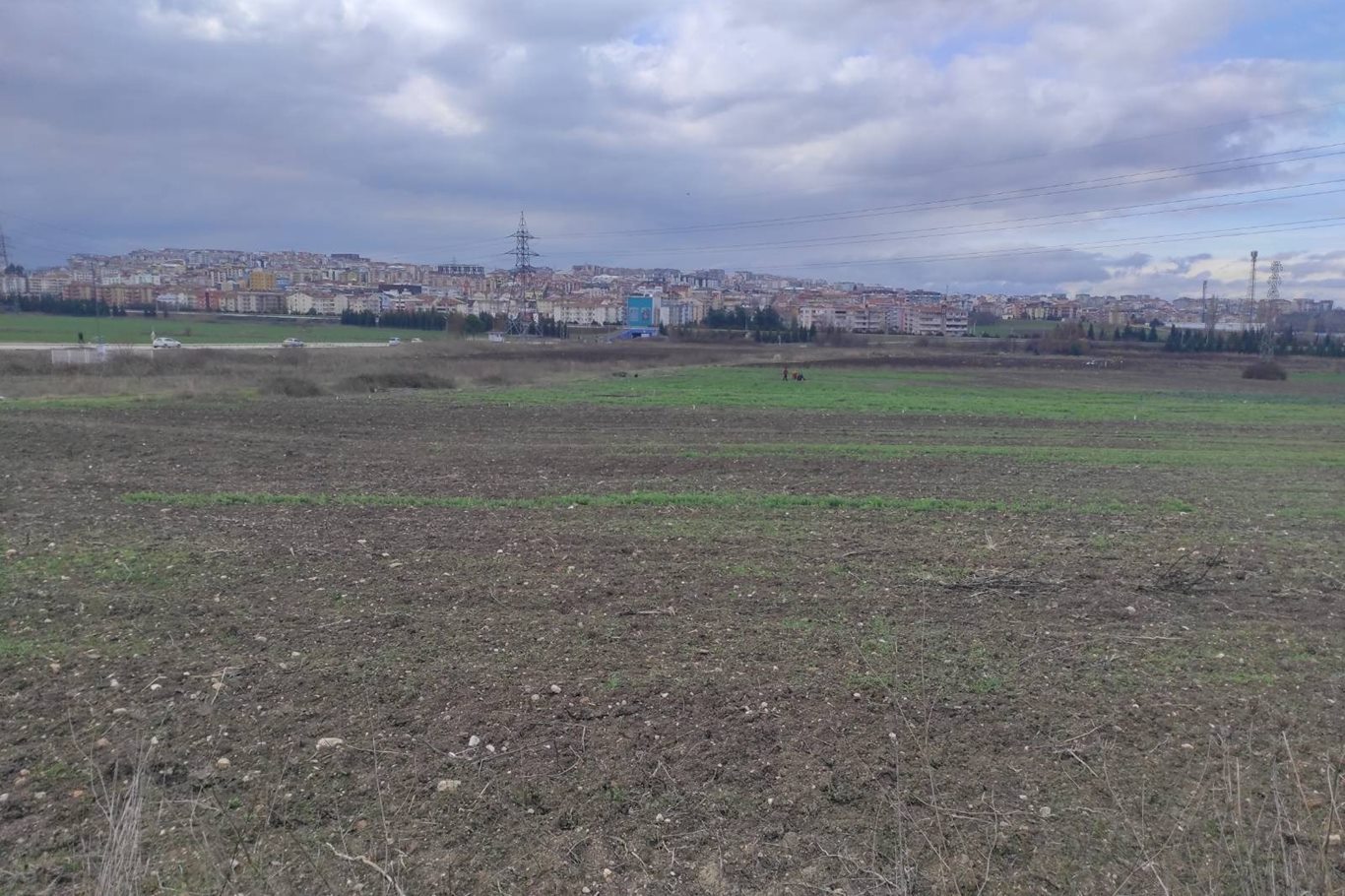 Bursa Ziraat Odası Başkanı Çakmak: Kuraklık ve yağışların azalmasıyla tarımda verim kaybı yaşanabilir