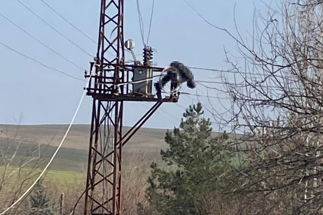 Çıktığı elektrik trafosunda yüksek akıma kapılarak hayatını kaybetti Çıktığı elektrik trafosunda yüksek akıma kapılarak hayatını kaybetti