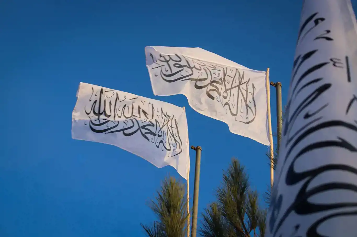 Islamic Emirate of Afghanistan supports Palestinian operation against zionist occupation Islamic Emirate of Afghanistan supports Palestinian operation against zionist occupation