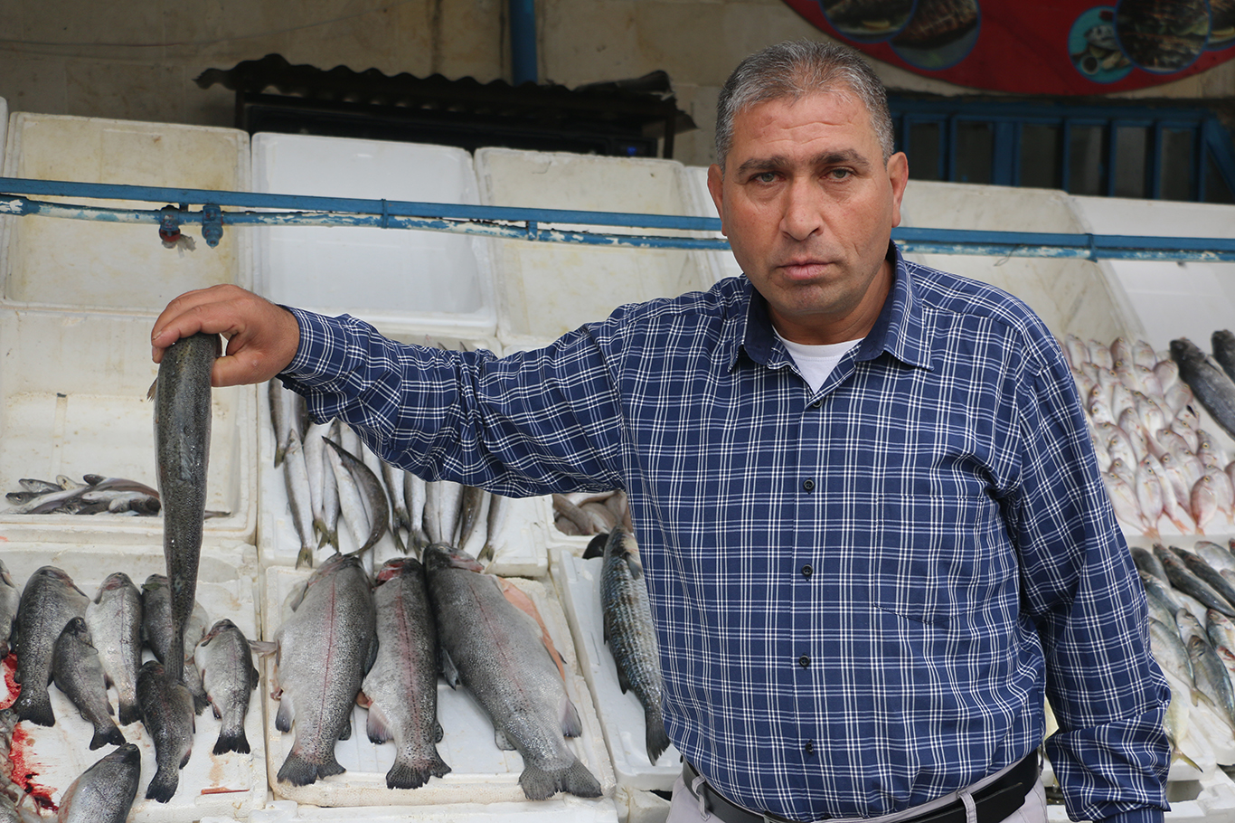 Havaların soğumasıyla birlikte balıkçı tezgahları hareketlendi