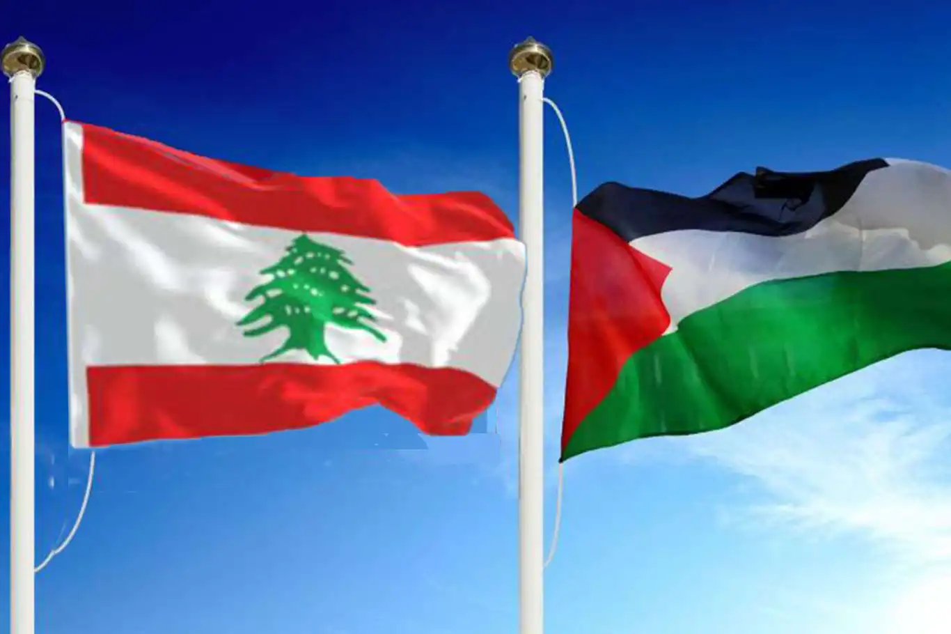 Küresel Grev Çağrısı'na Lübnan Hükümetinden destek