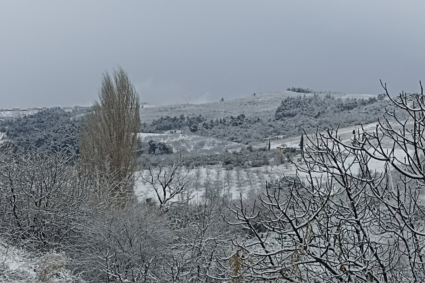 Bursa'ya kar Şubat ayının ilk gününde yağdı