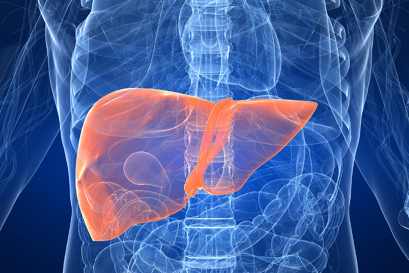 Karaciğer kanseri riskini azaltmak için neler yapılmalı?