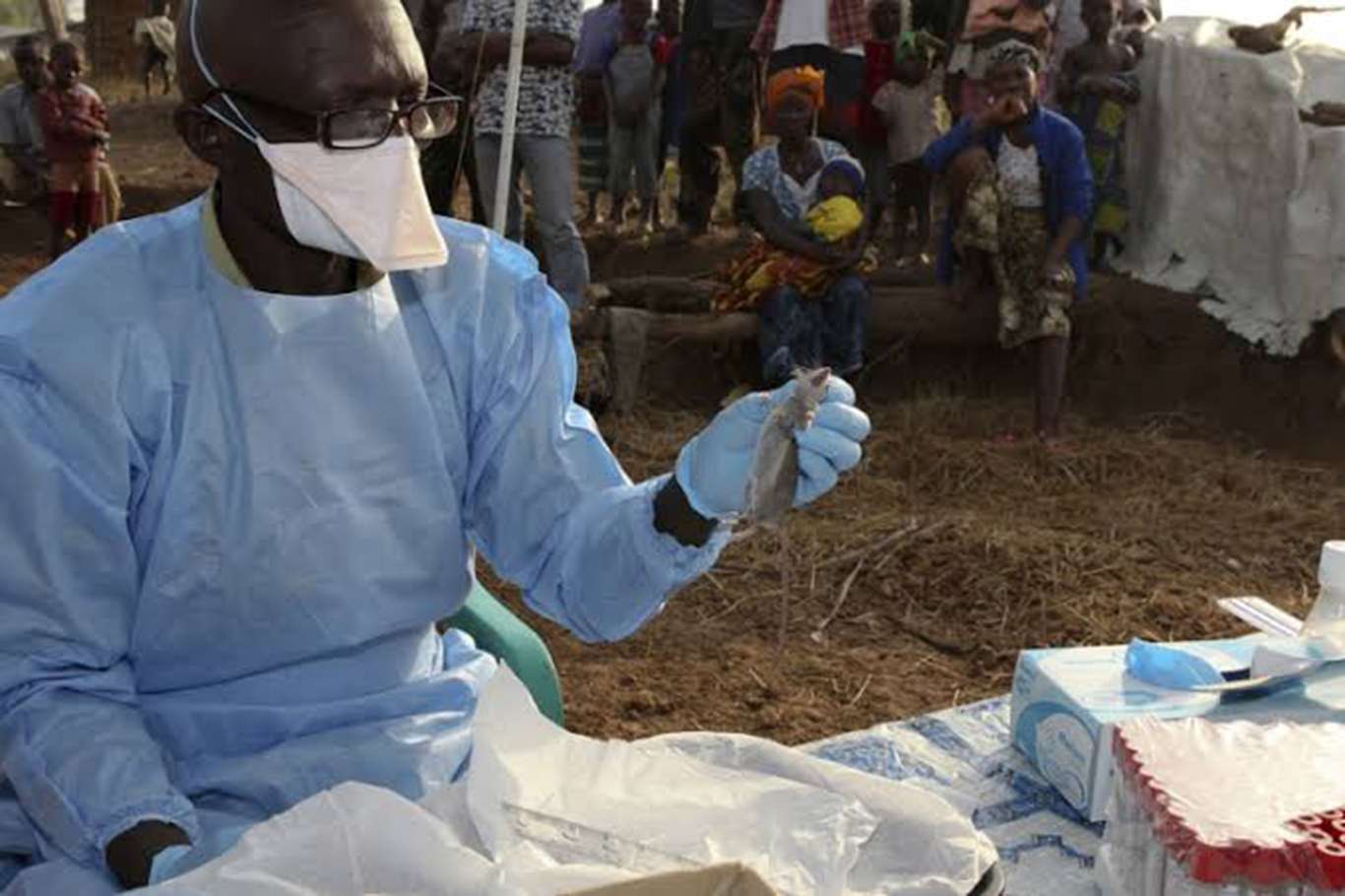 افزایش ابتلا به تب لاسا در نیجریه: اعلام وضعیت اضطراری