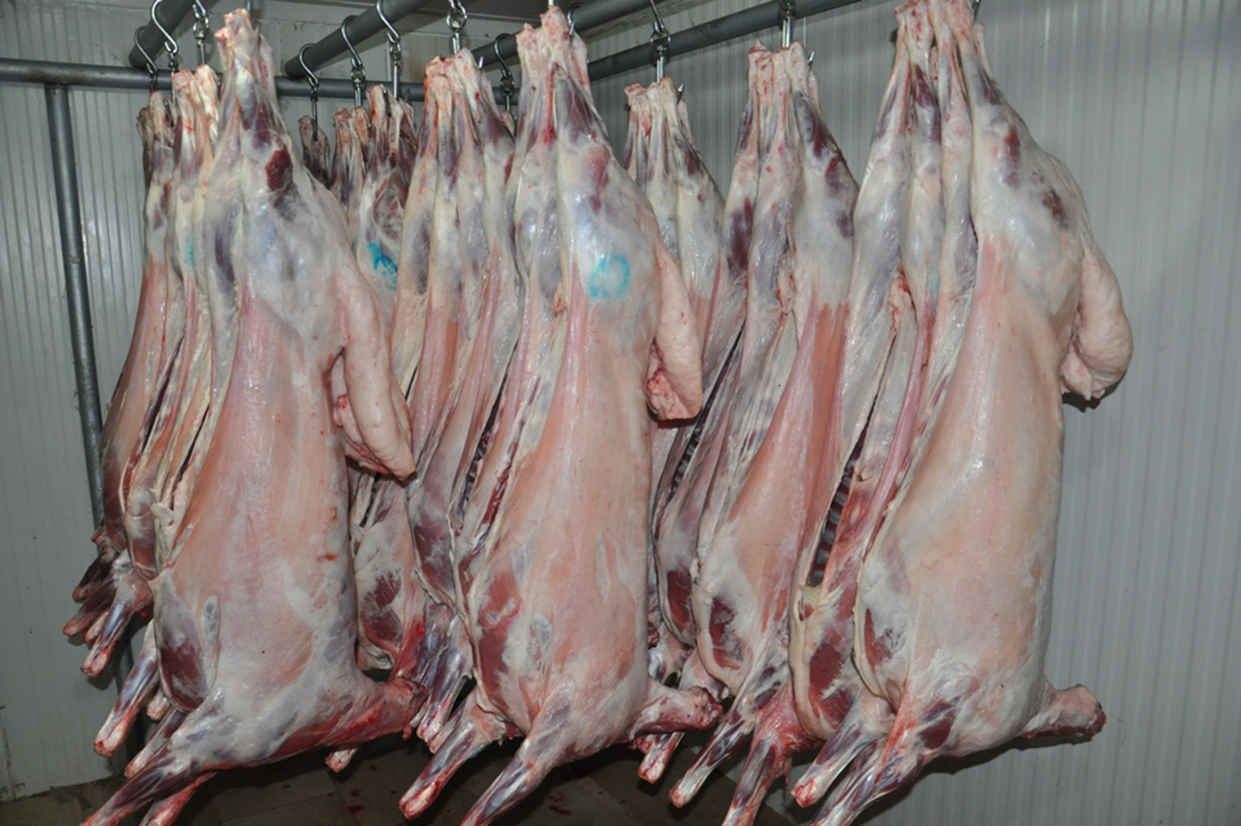 Sektör temsilcileri, ithal etin et fiyatlarını düşürmede çözüm olmadığını belirtiyor