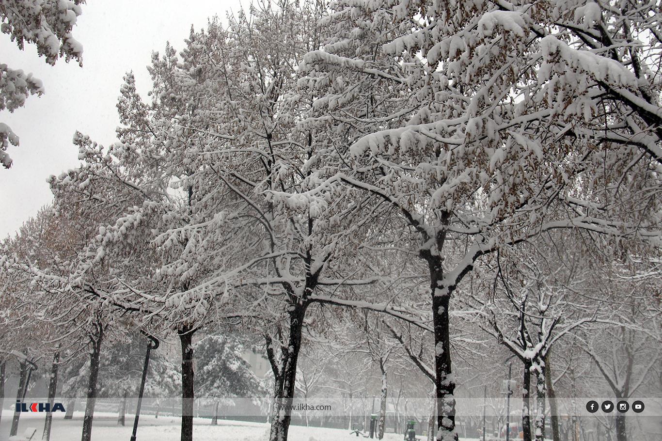  Diyarbakır receives first snowfall of the year 