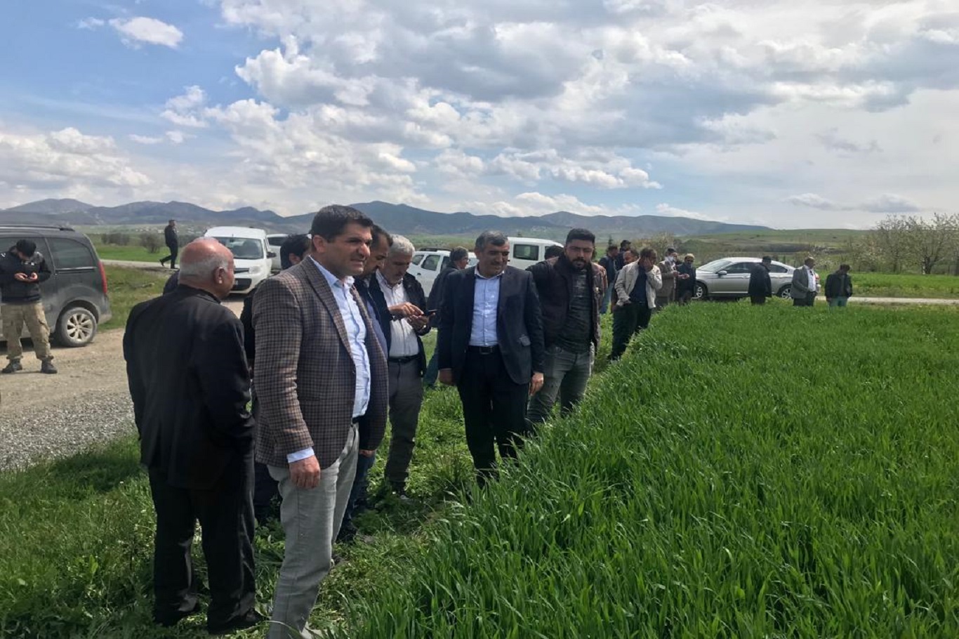 Elazığ`da tarlalarda süne ve kımıl incelemesi yapıldı