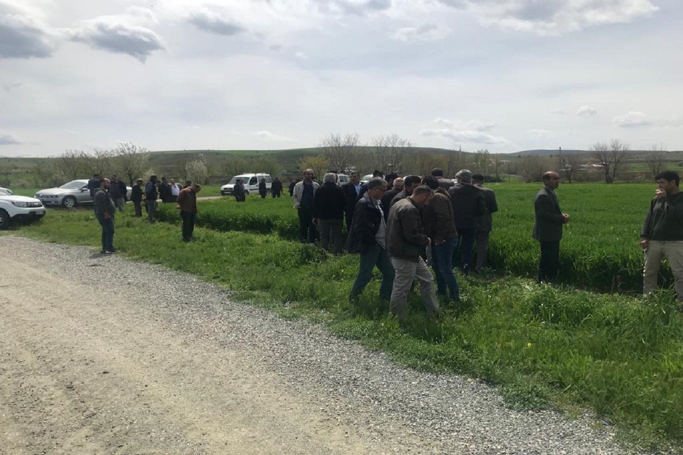 Elazığ`da tarlalarda süne ve kımıl incelemesi yapıldı