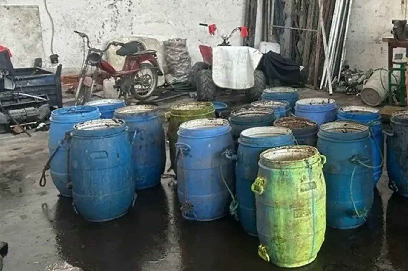 İzmir'de 900 kilogram deniz patlıcanı ele geçirildi İzmir'de 900 kilogram deniz patlıcanı ele geçirildi