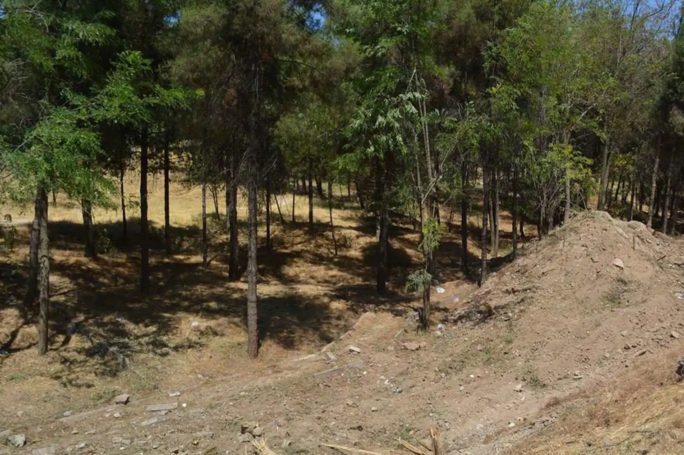 Tunceli'de ormanlık alana ilişkin bazı yasaklar getirildi