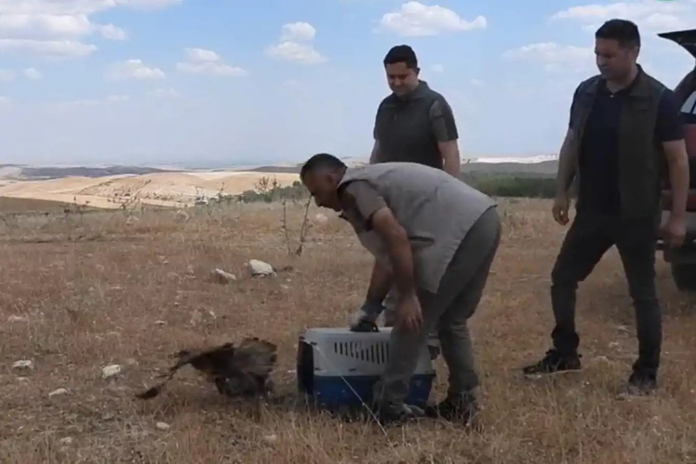 Tedavisi tamamlanan Gökdoğan kuşu doğaya bırakıldı Tedavisi tamamlanan Gökdoğan kuşu doğaya bırakıldı