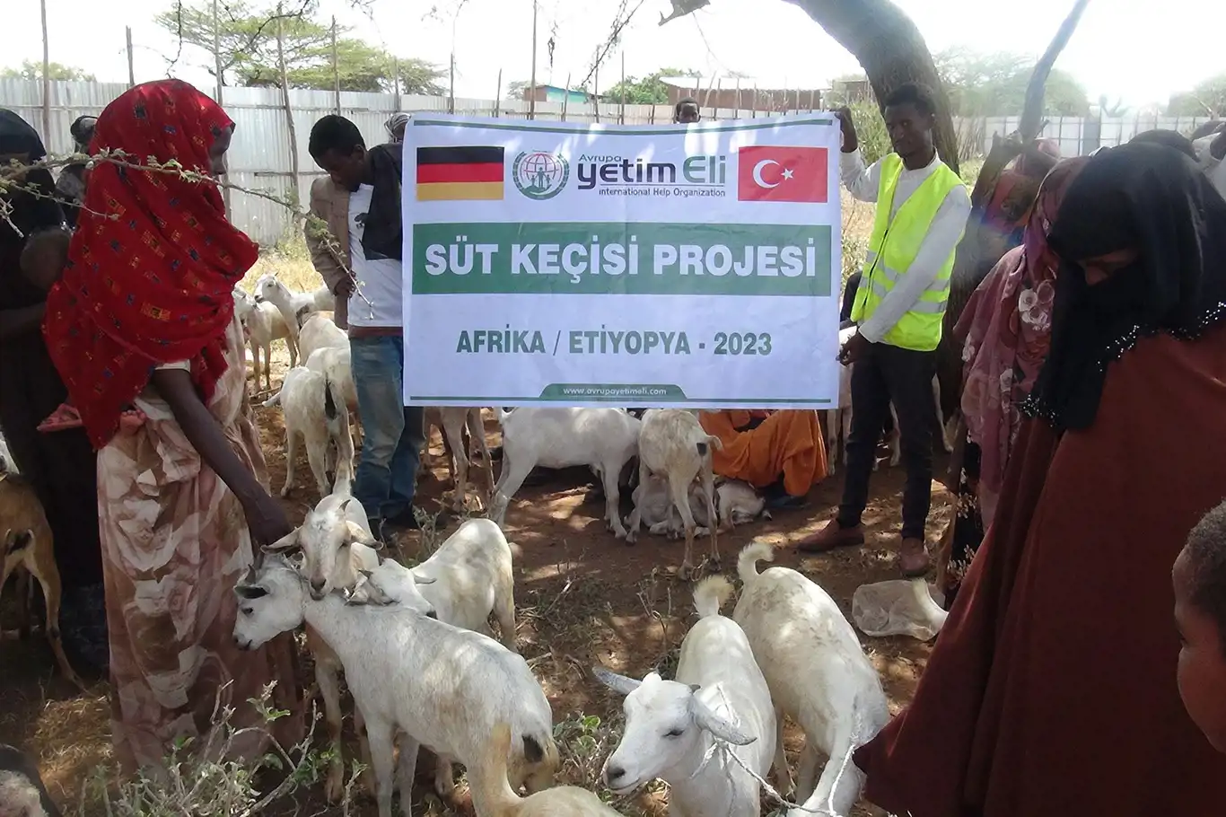Avrupa Yetim Eli Afrika'da yoksul ailelere "Süt Keçisi" dağıttı Avrupa Yetim Eli Afrika'da yoksul ailelere "Süt Keçisi" dağıttı
