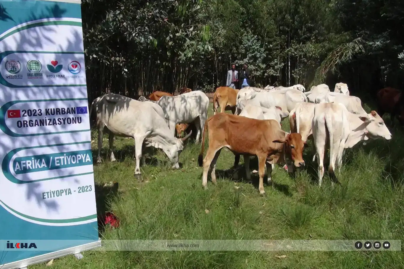 Orphans Foundation delivers sacrificial meat to needy families in Ethiopia Orphans Foundation delivers sacrificial meat to needy families in Ethiopia