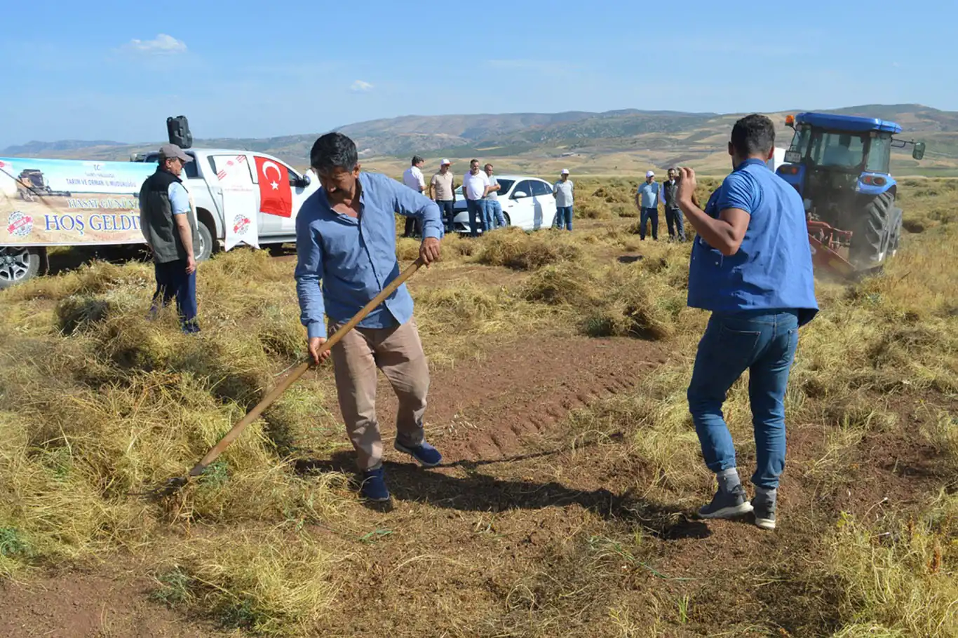 Siirt'te mercimek hasadına başlayan çiftçinin gözü hububat fiyatlarında Siirt'te mercimek hasadına başlayan çiftçinin gözü hububat fiyatlarında