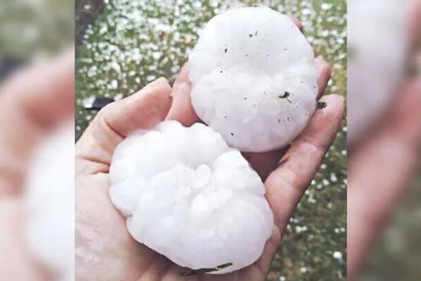 Sydney hail