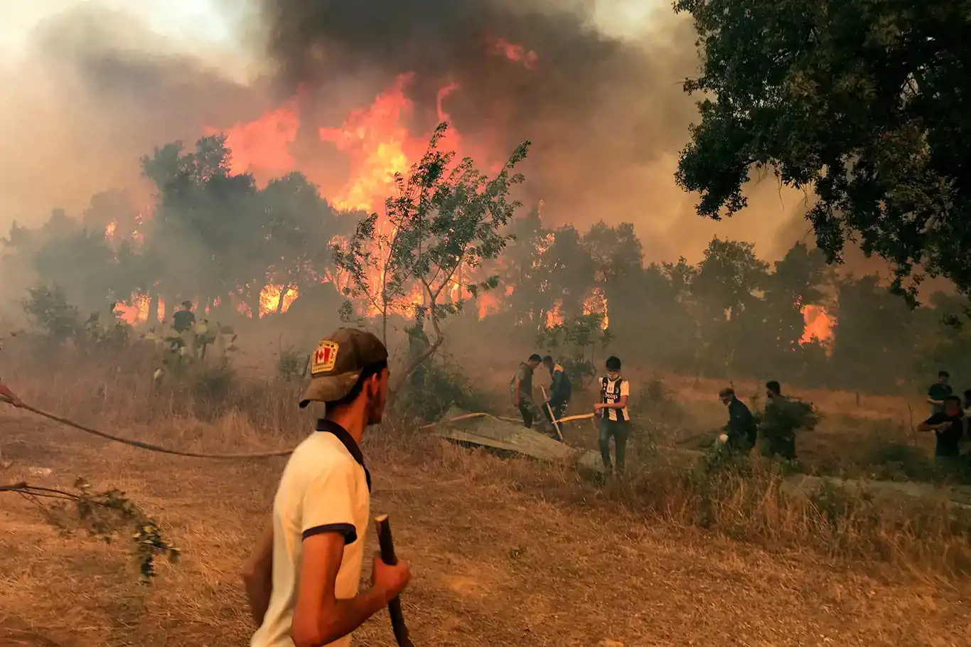 Devastating forest fires claim 34 lives in Algeria amidst North Africa's heatwave