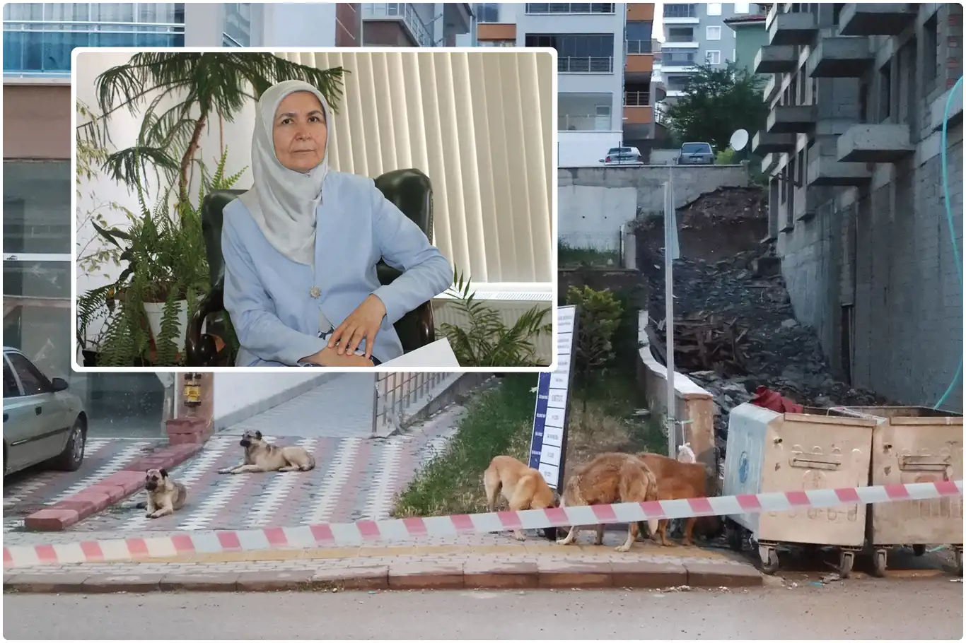 Av. Sayımlar: Başıboş köpek sorununun çözümü 5199 Sayılı Kanun'un değişmesine bağlı Av. Sayımlar: Başıboş köpek sorununun çözümü 5199 Sayılı Kanun'un değişmesine bağlı