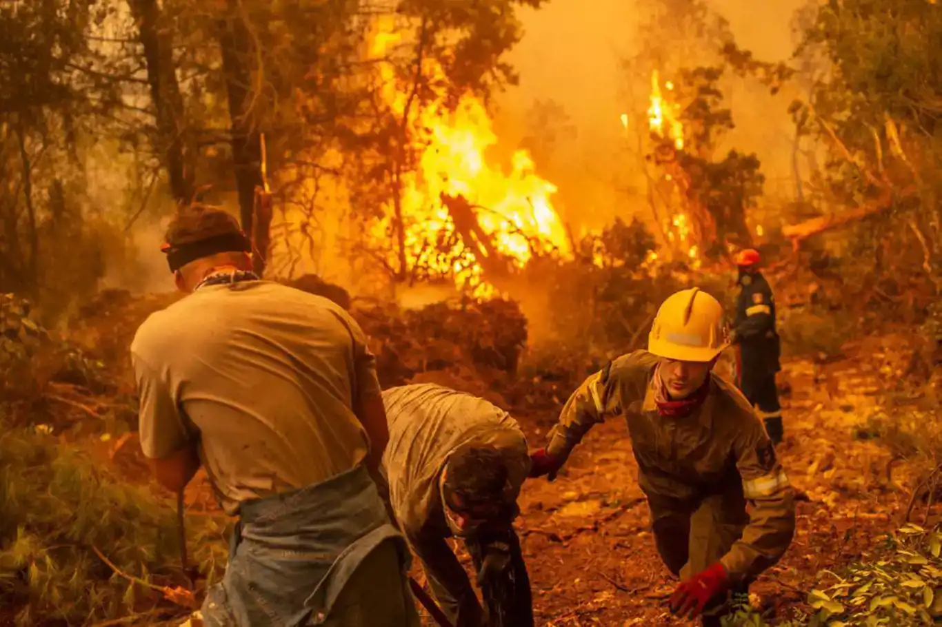 Unprecedented wildfire ravages Greece's Evros region, marking EU's worst blaze on record