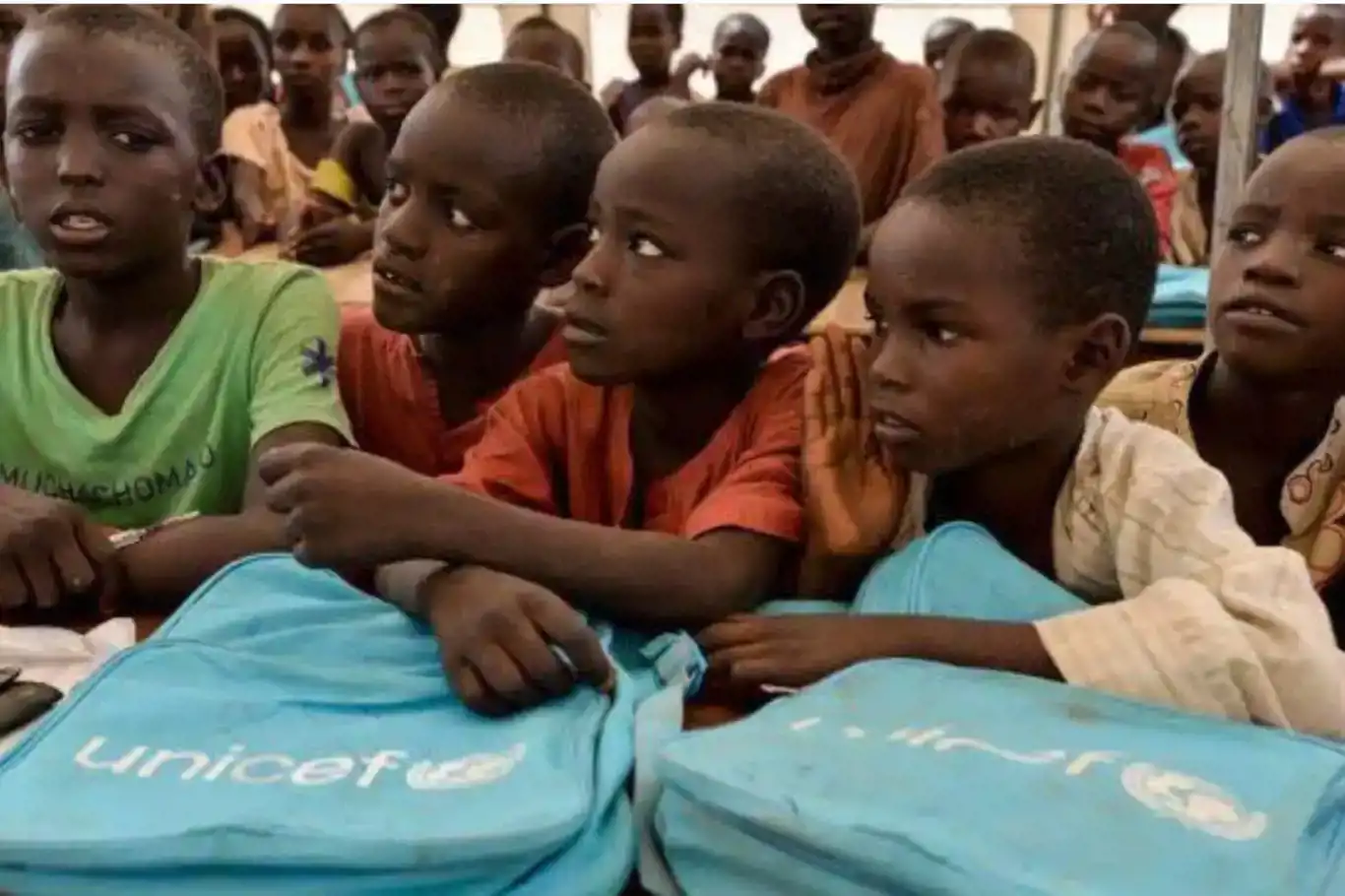 UNICEF report exposes dire education crisis in north-eastern Nigeria
