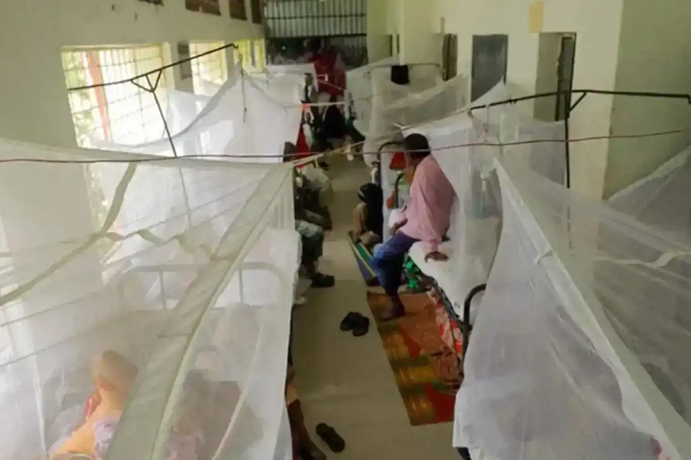 Dengue outbreak in Bangladesh claims 800 lives, highest toll since 2000 ...