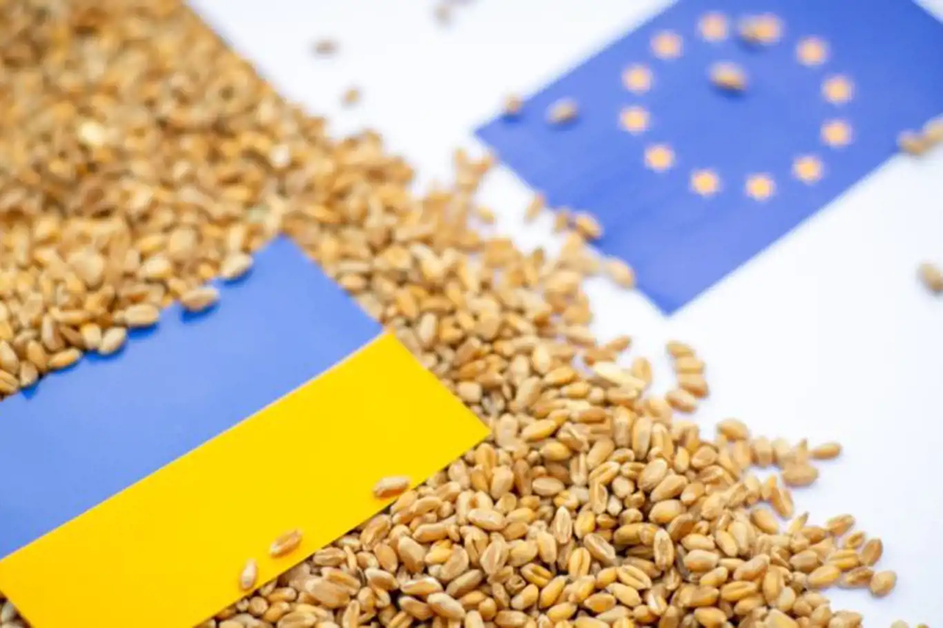 Ukrayna, tahıl ithalatına getirilen yasak nedeniyle üç ülkeye dava açtı