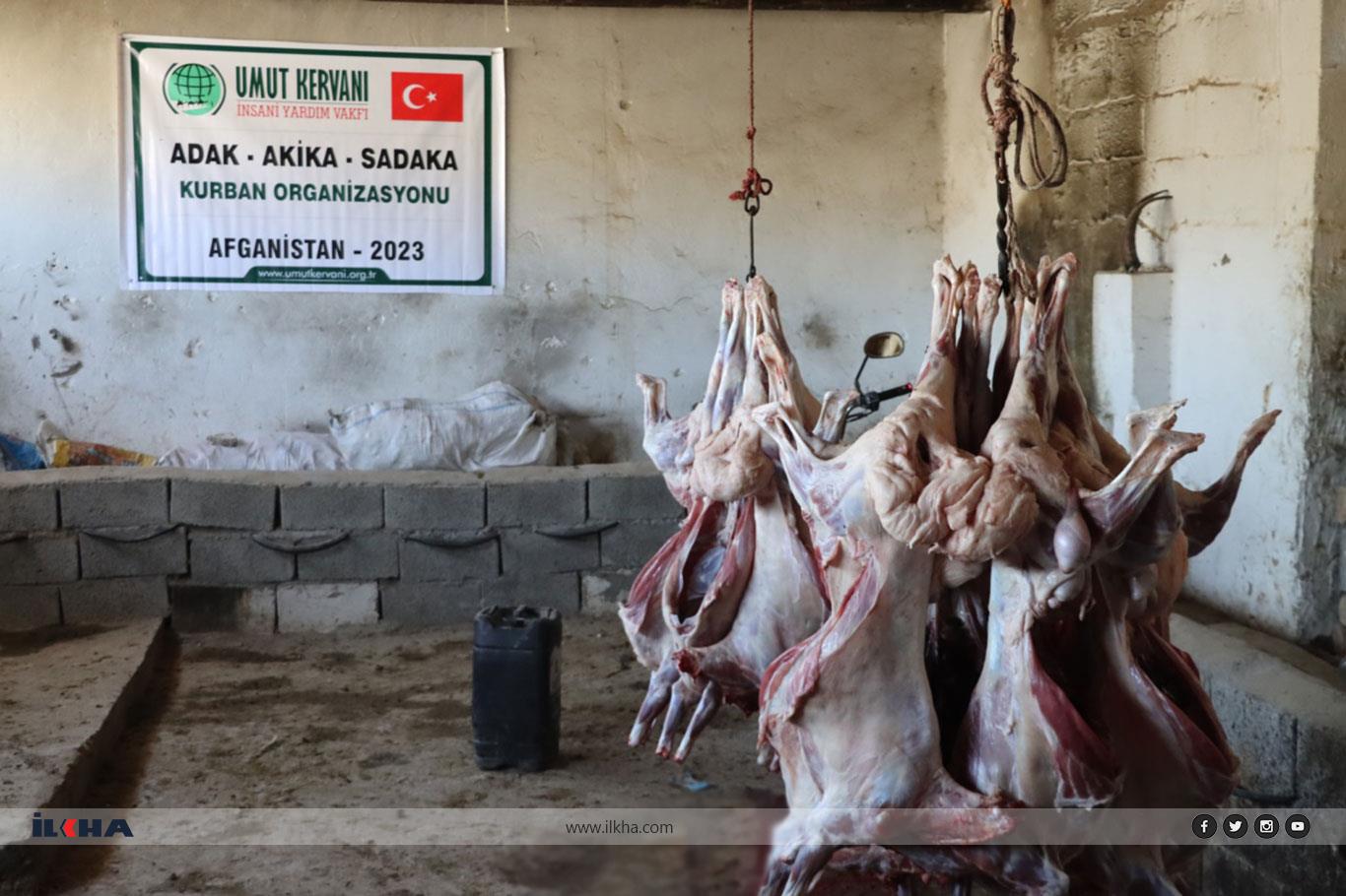 Karwana Hêvî li Efxenistanê ji bi sedan malbatan re goştê sor belav kir Karwana Hêvî li Efxenistanê ji bi sedan malbatan re goştê sor belav kir
