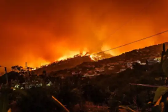 İtalya’daki orman yangınında 2 kişi öldü