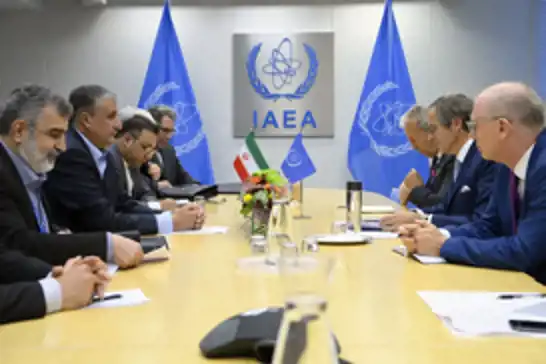 Iranian nuclear chief meets with IAEA Director in Vienna