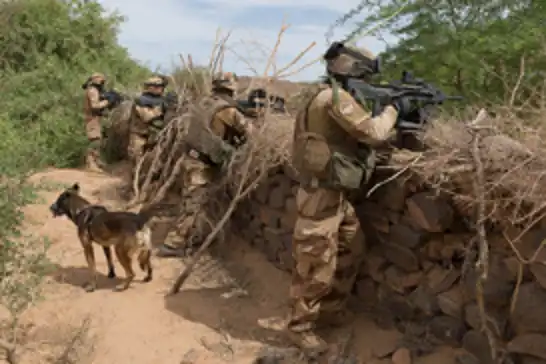 Nijer cuntası: Fransa, askerlerini çekeceğine dair resmi bir bildiride bulunmadı