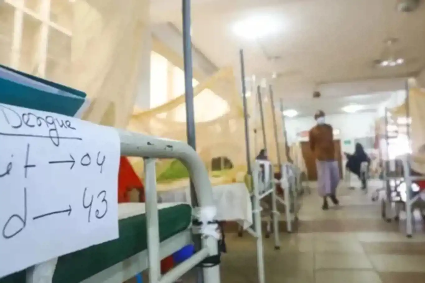 Dengue outbreak claims 21 lives in Bangladesh, total deaths reach 618 this year