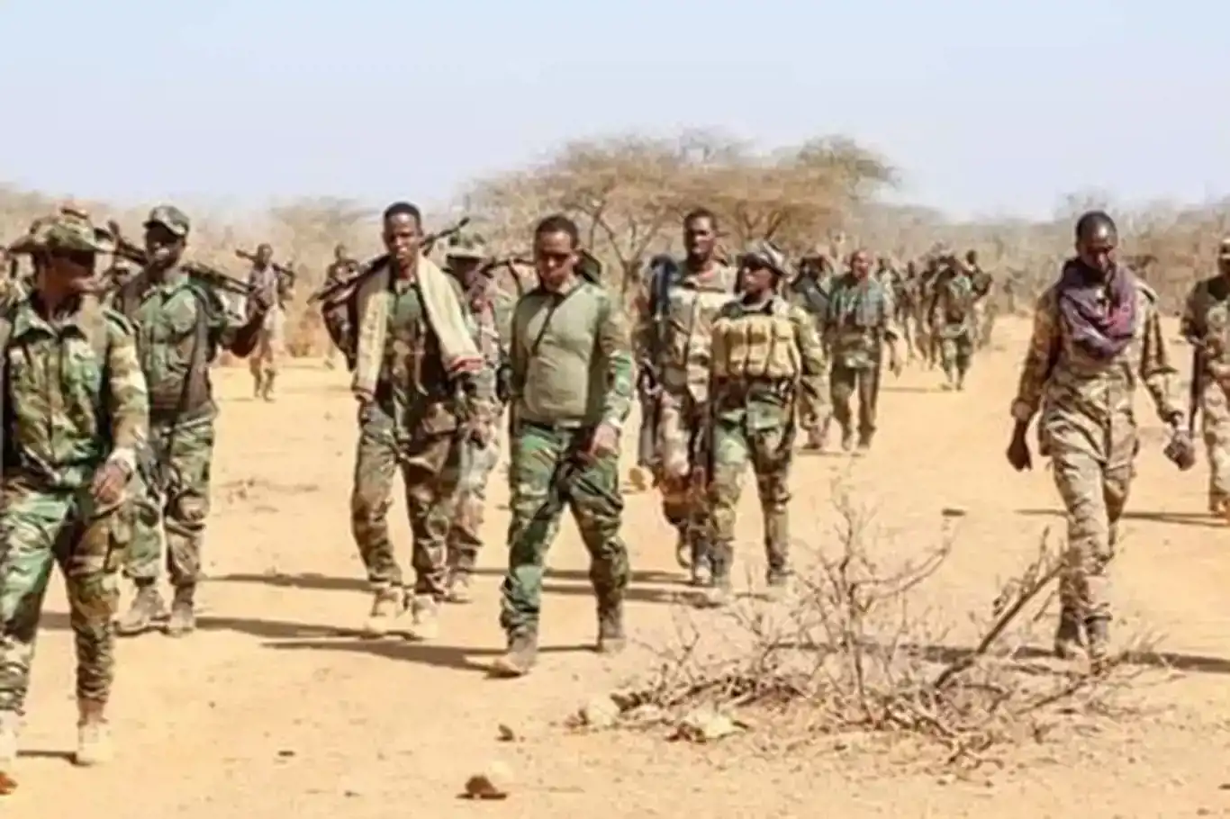 Somali'de El Şebab'a operasyon: 43 ölü Somali'de El Şebab'a operasyon: 43 ölü